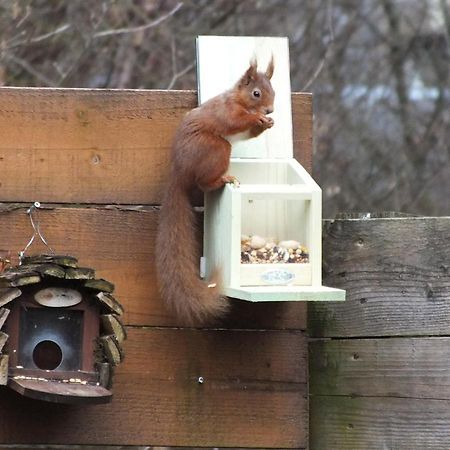 Woodburn Ground-Floor Apartment In Quiet Setting In Pitlochry Exterior foto